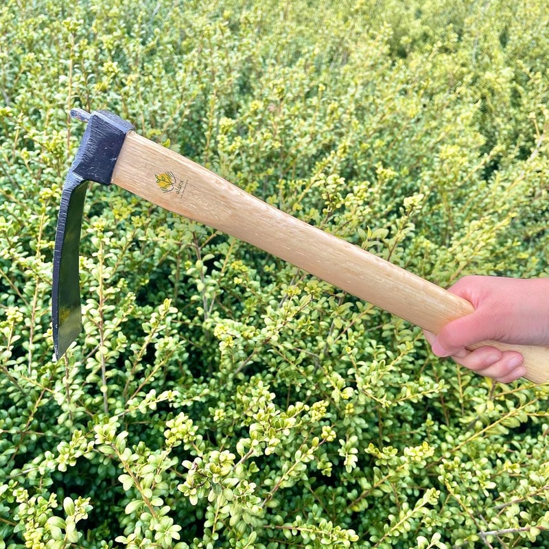 ALANX 14 Inch Heavy Duty Narrow Hoe, Without Welding, Japanese Carbon Steel with Oak Wooden Handle, Garden Tool for Digging, Weeding, and Planting - Image 4